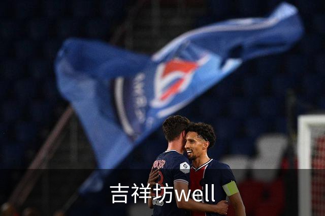 吉祥坊well公司简介